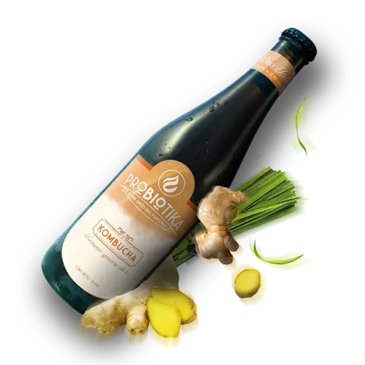 Kombucha Pisco Índico